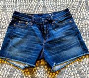 Jcrew Jean short size 27