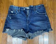 High Rise Mom Shorts Curve Love