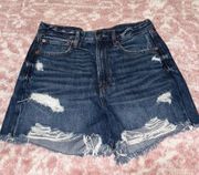 American Eagle Outfitters High Waist Jean Shorts