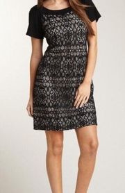 Phoebe Couture Black Lace Short Sleeve Back Zip A-Line Knee Length Dress Size 8