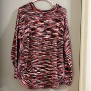 NWT Alison Andrews Sweater Size XL