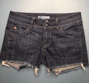 Dark Wash Shorts ( Vintage)