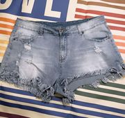 Distressed Frayed Jean Shorts