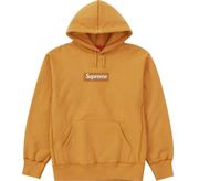 BOX LOGO HOODED SWEATSHIRT (FW21)