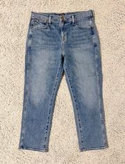 JCrew Hi Rise Classic Vintage Jean 29 Petite