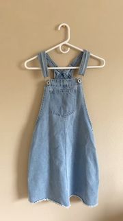 Denim Overall Dress