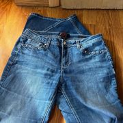 Earl Jean Womens Size 8 Slim Boot Cut Wash Denim Barely Boot Jeans