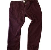 Ava & Viv Stretch Pants 26w burgundy