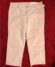 NWT- Sonoma- size 14 modern fit jeans