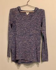 Purple Thin Hooded Sweater