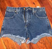 Distressed Shorts