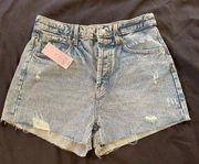 Wild Fable New with Tags  women’s Distressed Cheeky Shorts Sz 10