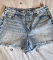 American Eagle Outfitters Mom Shorts