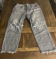 American Eagle AE mom Jean 12S