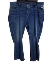 a.n.a Denim Jeans plus size