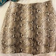 Snakeskin Mini Skirt 