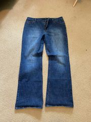 Loft Bootcut Jeans