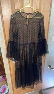 EXPRESS Sheer Lace Dress