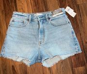 NWT!  - Curve Love Mom Short - 28 or 6