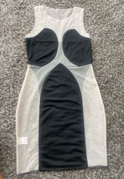 Mesh Bodycon Dress