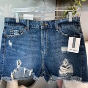 High Rise Denim Shorts Jean Cutoffs True Craft Womens 9