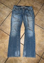 Big Star Remy Low Rise Bootcut Jeans Size 28