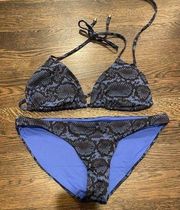 Vitamin A Gia Bikini Bottom in Blue Snake Print