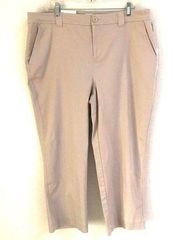 NWT A New Day tan high waisted straight cropped chino pants 18