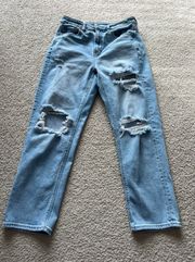 American Eagle Stretch Ripped Jeans