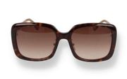 Chloe Gradient Rectangle Acetate Sunglasses, Comes with Case & Wipe, New w/Tag