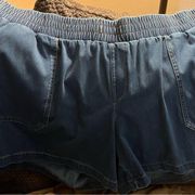 Lane Bryant short denim shorts 24