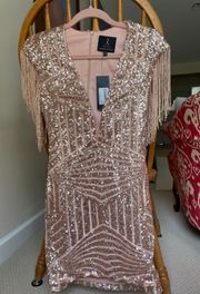 Sequin Fringe 20s Flapper Deep V-neck Dress!