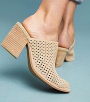 Jeffrey Campbell Favela Perforated Mules - Size 6.5