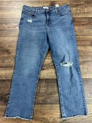 Denizen By Levi’s High Rise Ankle Straight Jeans