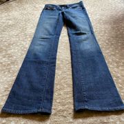 Paige Blue Denim Pico Embellish Flap Pocket Jeans | Size 26