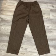 Brown with Faint Red & Tan Striped Pull On Elastic Waist Pants 14