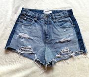 High Rise Two Tone Jean Short