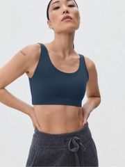 Everlane The Perform Bra Atlantic