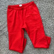 Fleece Relaxed Pocket Sweatpant in Cherry 1X