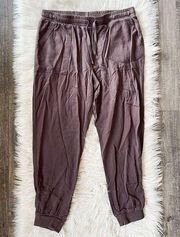 Splendid Chocolate Brown Joggers