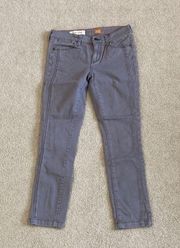 Anthropologie Pilcro and the letterpress stet grey skinny jeans in size 25