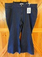 Est 1946 Denim Cato Jeans Hi-Rise Flare Super Stretch 28W NWT (3180)