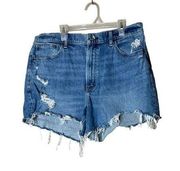 Abercrombie & Fitch 4 Inch High Rise Mom Shorts Size 31