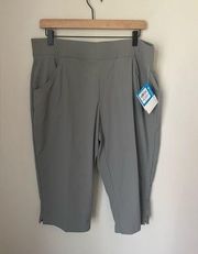 Columbia Omni-Shield Anytime Casual Capri in Gray Size XL New With Tags