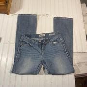 Daytrip bootcut jeans size 29/30