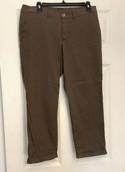 NWOT Jag Capri Pants Slim Size 12 Brown