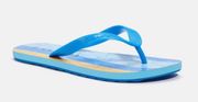 Zak Signature Blue Yellow Striped Flip Flops