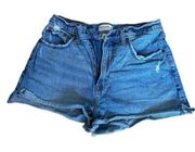 Abercrombie and Fitch Curve Love The Mom Short High Rise Size 8 (29) Blue Denim