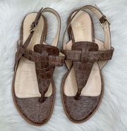 MaxMara Croc Embossed Thong Sandals Brown Leather Sandal Size 41