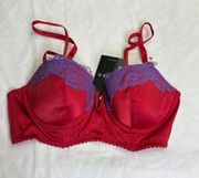 Forever 21 Size Small Red Underwire Bra with Purple Lace with Adjustable…